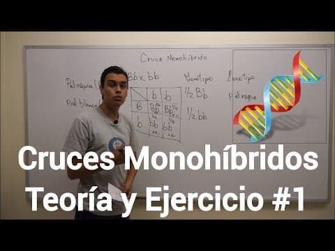 Cruces Monohíbridos | Teoría, Concepto y Ejercicio #1