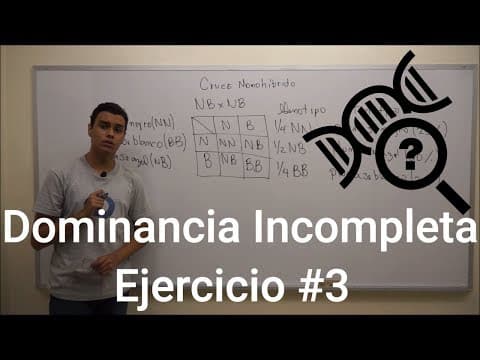 Cruces Monohíbridos | Dominancia Incompleta - Ejercicio #4