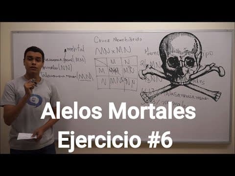 Cruces Monohíbridos | Alelos Mortales - Ejercicio #6